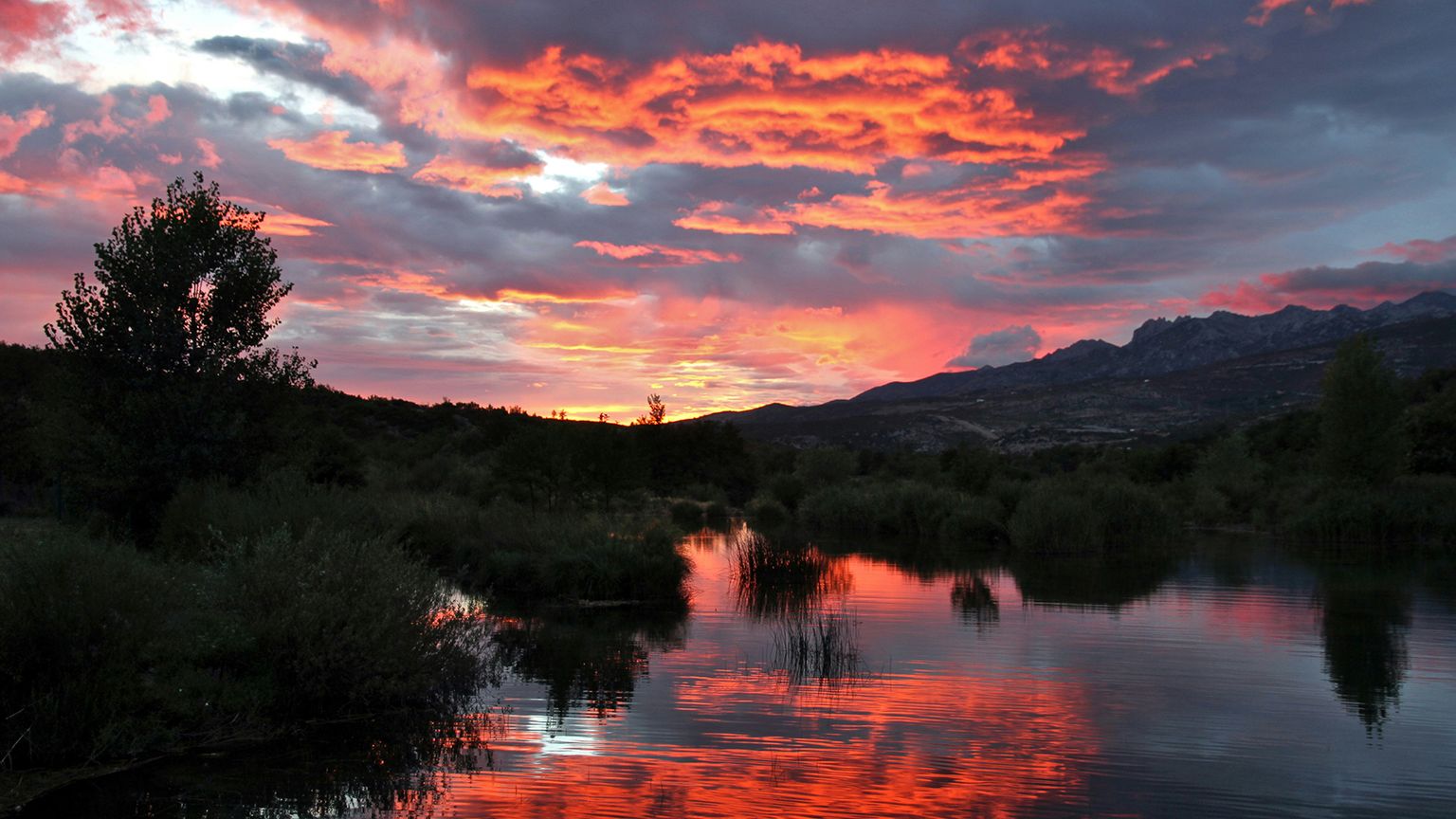 frank-eiffert-28ahICQgZTw-unsplash